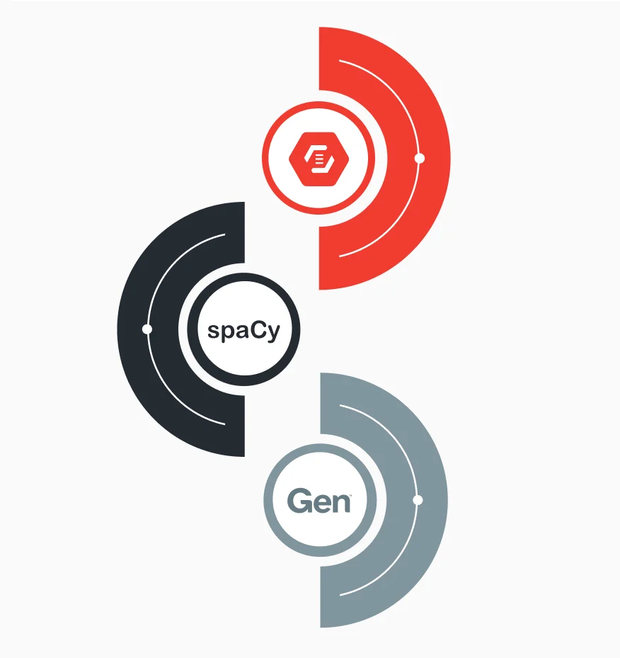Natural Language Processing (NLP)